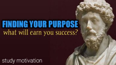 How To Find Your Purpose | Stoic Quotes Study Motivation | Motivational Quotes In English