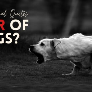 Afraid of Dogs? 18 Motivational Quotes To Reduce Your Fear of Dogs! (CALM AFFIRMATIONS)