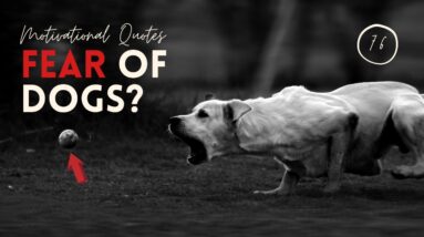 Afraid of Dogs? 18 Motivational Quotes To Reduce Your Fear of Dogs! (CALM AFFIRMATIONS)