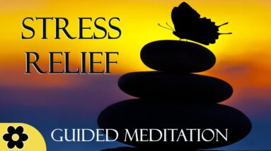 Guided Meditation~STRESS RELIEF★Removing the Burdens of Life★