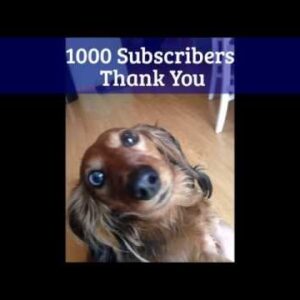 1000 Subscribers!! THANK YOU!! w/ Pics of Leela...