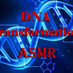 ASMR Guided Meditation: DNA TRANSFORMATION