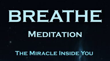 BREATHE ~ Guided Meditation ~ The Miracle Inside You