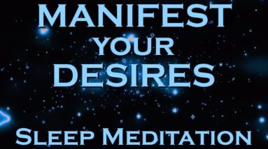 Change Your Life ~ Manifest while you SLEEP MEDITATION