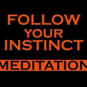 Follow your INSTINCTS Meditation ~ MANIFEST MEDITATION