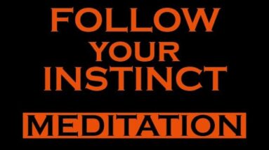 Follow your INSTINCTS Meditation ~ MANIFEST MEDITATION