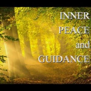 Guided Meditation: Secrets in the Forest, Inner PEACE and GUIDANCE