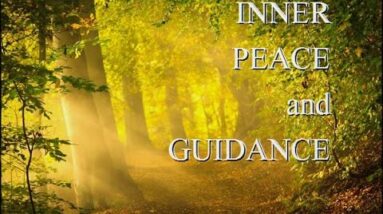 Guided Meditation: Secrets in the Forest, Inner PEACE and GUIDANCE