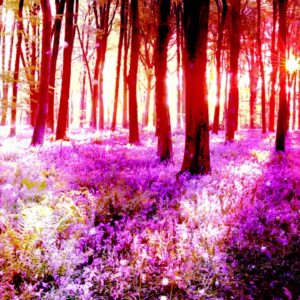 MYSTICAL FOREST: Deep Healing Music, Relaxing Sleep Music, Meditation Music