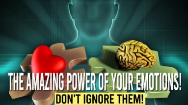 The CRAZY Power Of EMOTIONS (how they work with law of attraction)