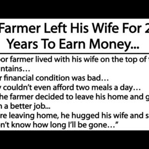 A Farmer Left His Wife For 21 Years To Earn Money...(This story teaches us the value of patience…)