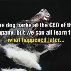 The dog barks at the CEO of the company, but we can all learn from what happened later...