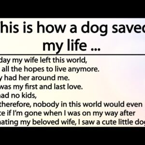 This is how a dog saved my life ...What a beautiful story!