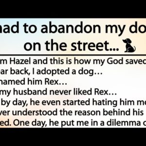 The Faithful Dog | I had left my dog on the road  | This is so Beautiful