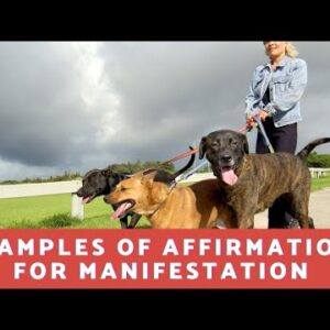 What Are Some Examples of Affirmations for Manifestation?