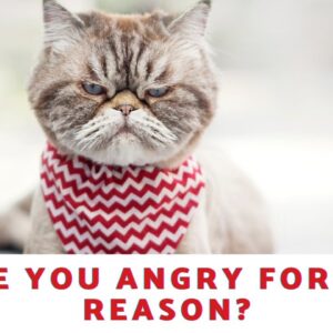 Are You Angry For No Reason?